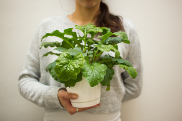 Woman holding plant with one hand