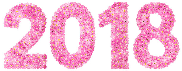 Numeral 2018 from pink forget-me-not flowers, isolated on white background