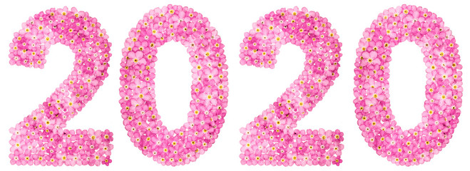Numeral 2020 from pink forget-me-not flowers, isolated on white background