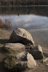 Fototapeta na wymiar reflection pond 