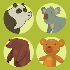 Bear animal vector mammal teddy grizzly funny happy cartoon predator cute character illustration.
