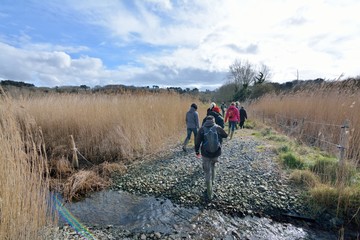 Des promeneurs dans les intempéries