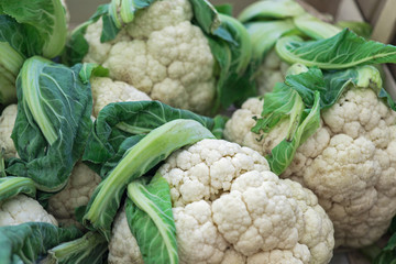 Cauliflower background, Group of cauliflower with green leaves