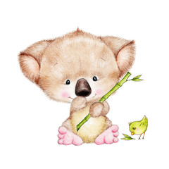 Cute koala bear and bird