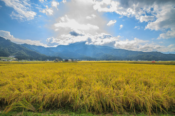 秋の南魚沼の田園の景色