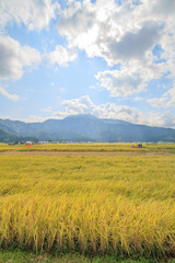 秋の南魚沼の田園の景色