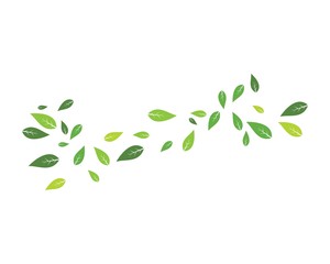 green leaf background