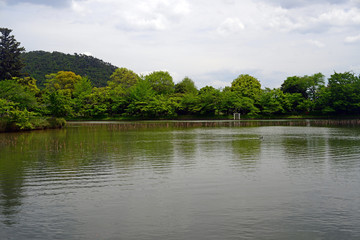 Osawa-no-ike Pond-5