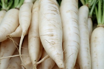 radish at street food
