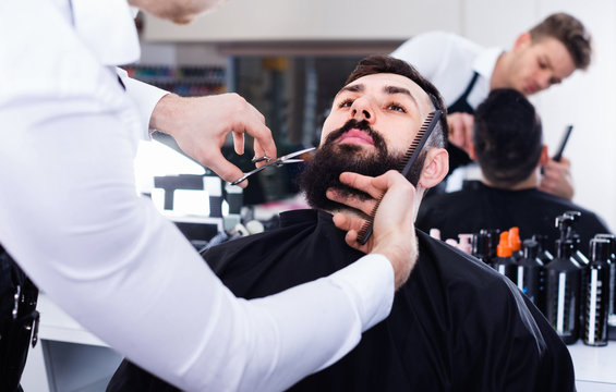 Male hairdresser accurately cutting beard of client