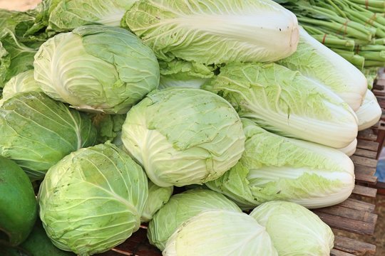Chinese cabbage at market