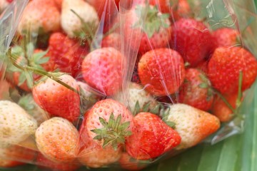 Fresh strawberry at street food