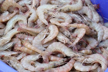 Fresh shrimp in market