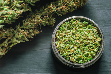 Macro of marijuana with trichomes and crushed weed in a grinder The concept of marijuana...