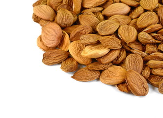 Dry apricot nut on white background.