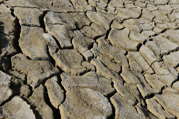 The parched soil