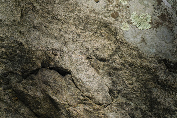 Stone 7