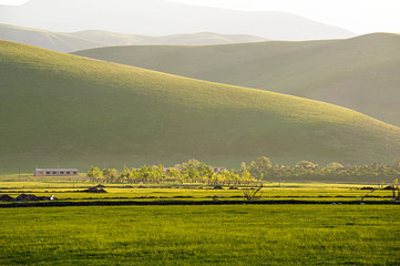 The scenery of grassland in Xinjiang