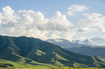Landscape of grassland in Xinjiang