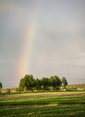 The beautiful rainbow in the grassland
