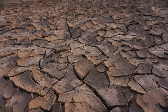 Dry soil cracked texture