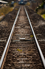 Obraz premium まっすぐ伸びる線路