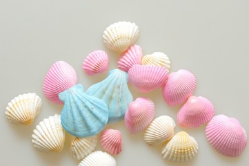 貝殻./パステルカラーにコーティングされた貝殻です.
