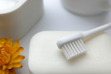 Fototapeta na wymiar 石鹸と歯ブラシ