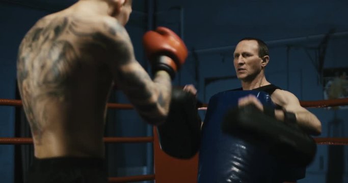 Shirtless muscular boxer with tattooed body working out on ring in gym attacking coach with punching bags.