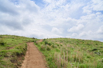 Fototapeta na wymiar trail in Yongnuni Oreum