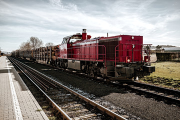 Fototapeta na wymiar Freight train carrying wood