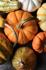 Overhead shot of a group of decorative Pumpkins and Gourds
