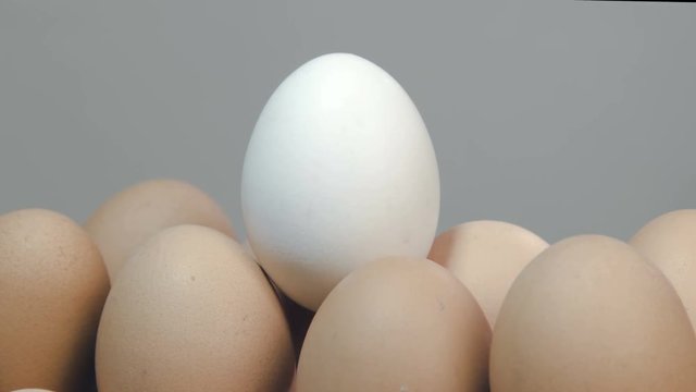 A leader top  White Egg  abve  Brown Eggs  Rotating.