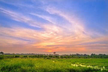 Landscape of field, rural and idyllic with beautiful clouds in countryside on sunset