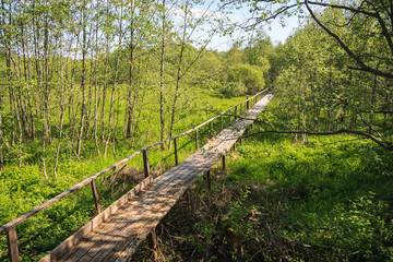 Wooden walkways lead to the beginning of the Volga River