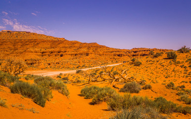 Fototapeta na wymiar Desert Moab, southwest of the USA. A dirt road in the park Monument Valley