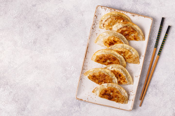Plate of asian gyoza, dumplings snack.