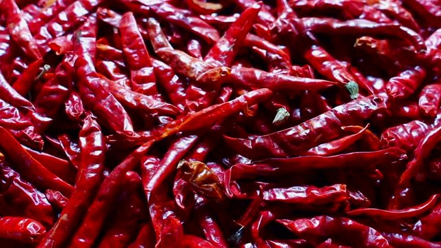 red chili rotate
