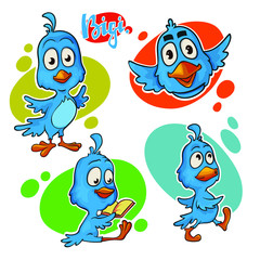 Small cute and funny Bigi bird, vector cartoon illustration isolated on white background