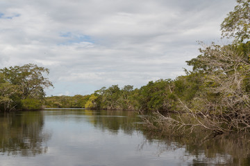 Fototapeta na wymiar View to New River in Belize