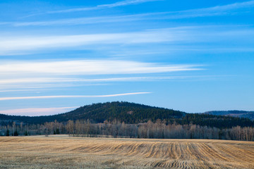 Fototapeta premium A bare brown empty field in early spring
