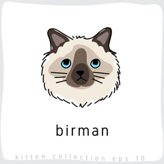 Cat breed collection : Vector Illustration