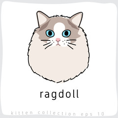 Cat breed collection : Vector Illustration - 198429008