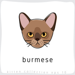 Cat breed collection : Vector Illustration