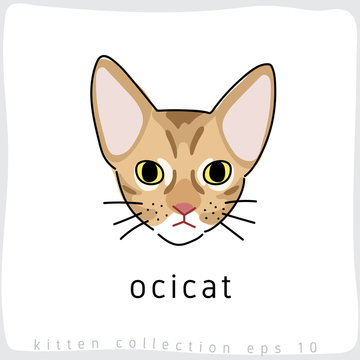 Cat breed collection : Vector Illustration
