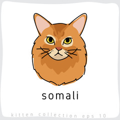 Cat breed collection : Vector Illustration