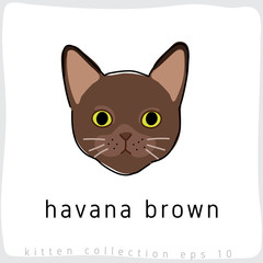 Cat breed collection : Vector Illustration