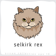 Cat breed collection : Vector Illustration