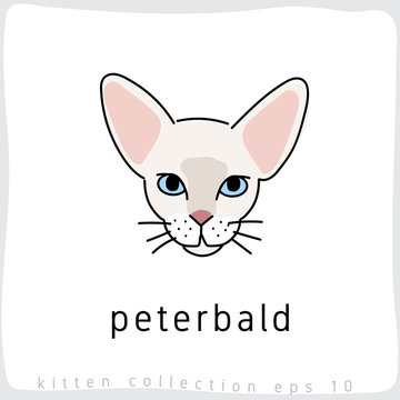 Cat breed collection : Vector Illustration