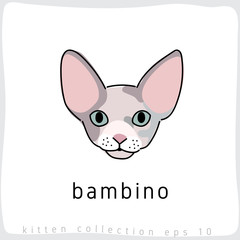 Cat breed collection : Vector Illustration